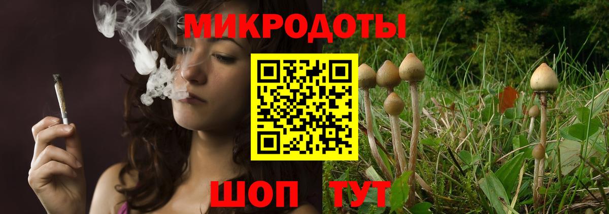 Железноводск  Галлюциногенные грибы Magic Shrooms  цена   Вход с VPN 